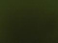 CORDURA FABRIC TYPE OLIVE GREEN  PER MTR